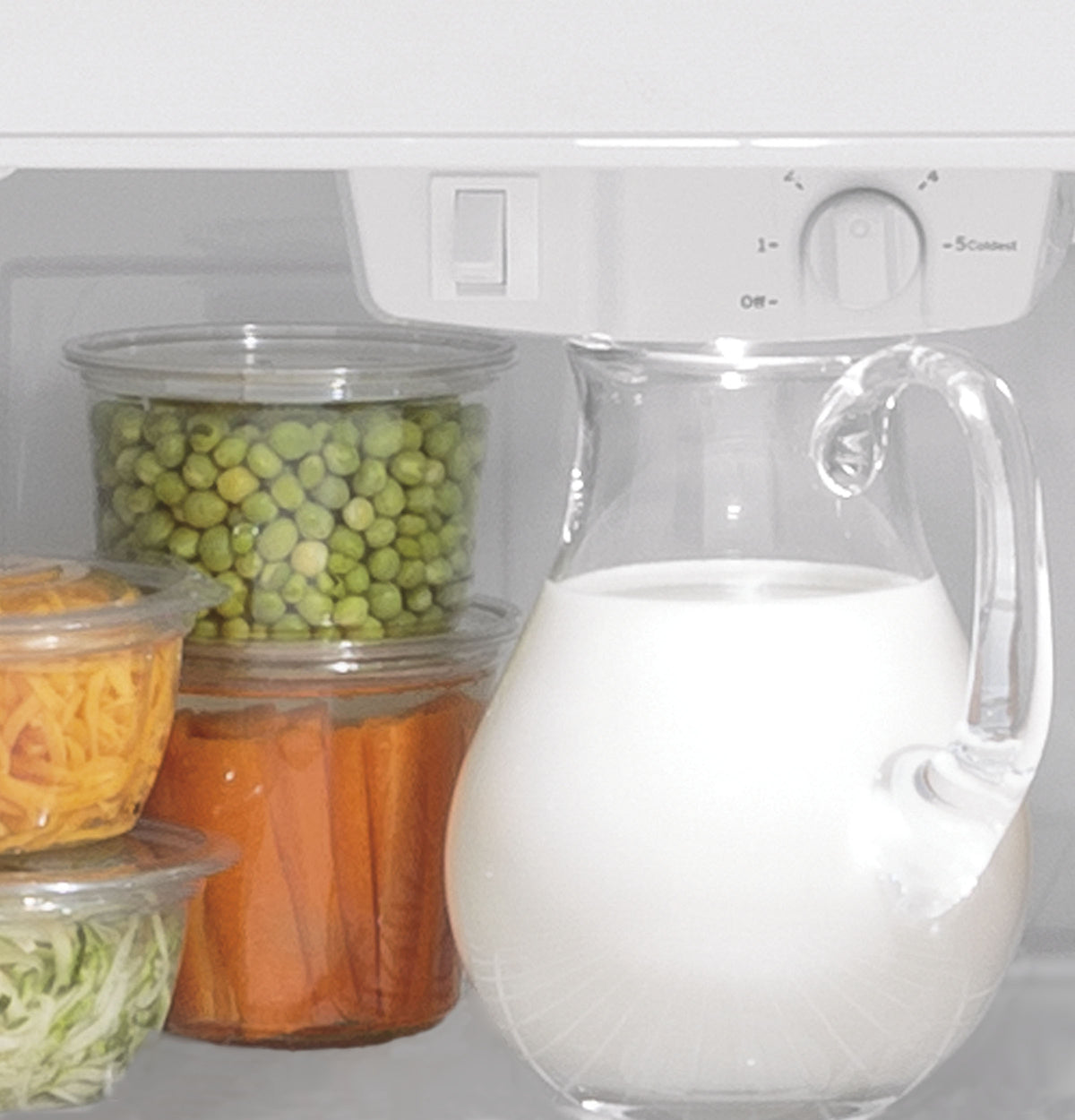 GE 19.2 Cu. Ft. Garage Ready Top-Freezer Refrigerator (GTS19KGNRBB)